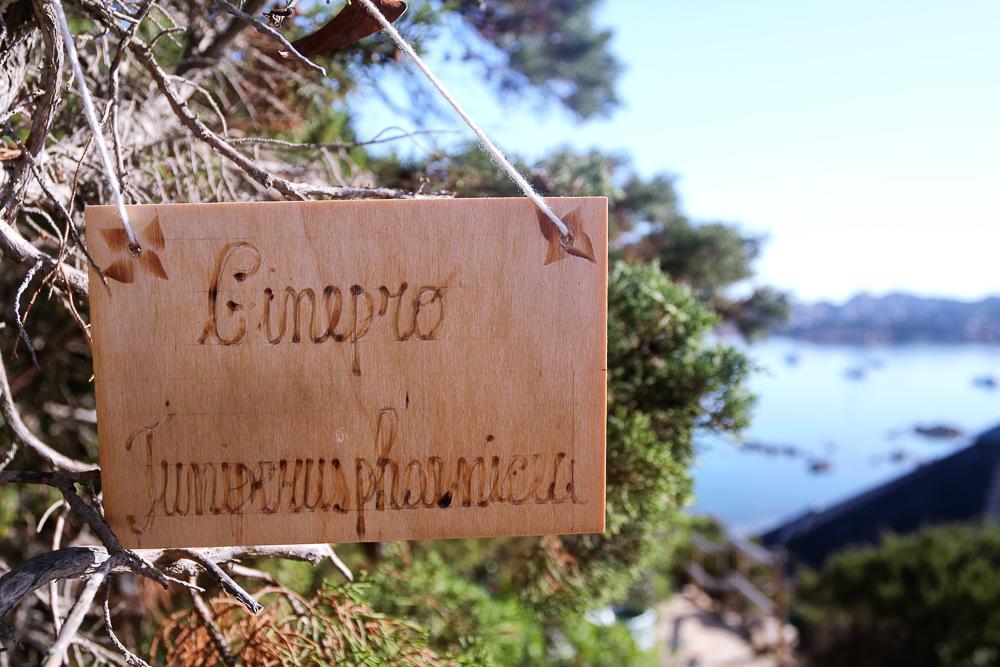 Touring Club Italiano - La Maddalena Ξενοδοχείο Λα Μανταλένα Εξωτερικό φωτογραφία